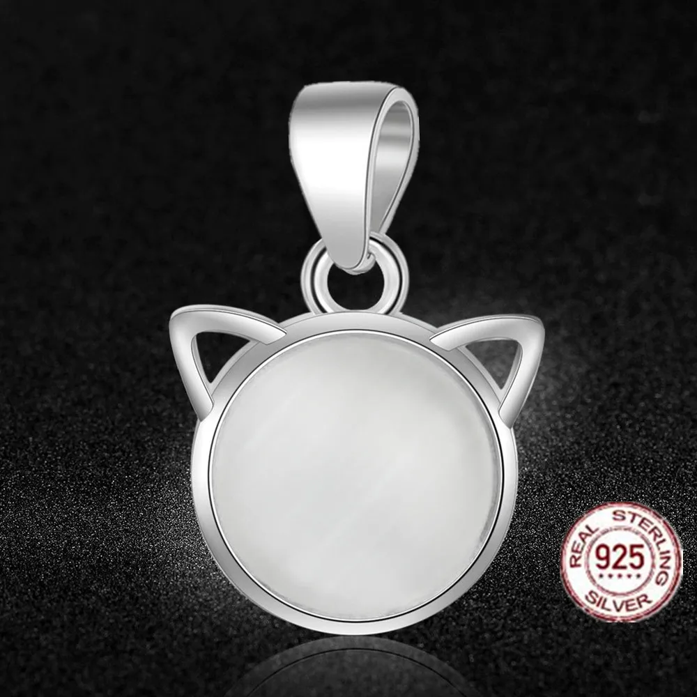 11713366685_1182436196