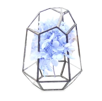 

Glass Flower Room Three-Dimensional Retro Succulent Moss Ecological Glass Flower