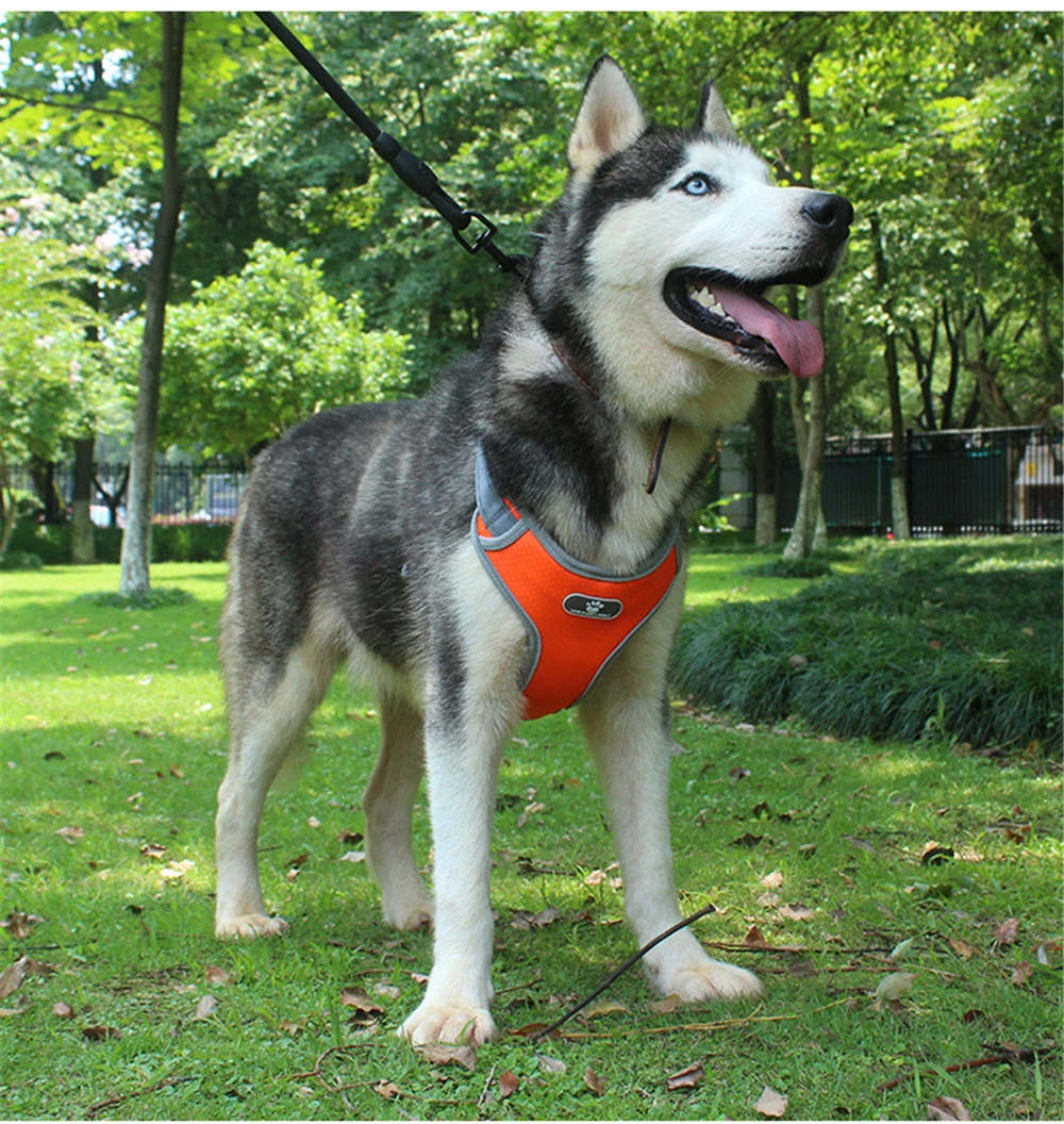 Dog Harness Vest Adjustable Reflective Breathable Mesh Harnesses For Medium Large Dog Breast-band Husky Alaskan Pet Accessories (17)