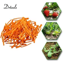 Ferramentas de jardim 50pc plástico qualidade planta clipes stolons fixação fixação fixação fixação fixação fixação fixação garfo morango agrícola clip gt034(China)