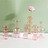 New Nordic Glass Vase Home Small Hydroponic Plant Glass Bottle Living Room Decor Dried Flower Decoration Transparent Flower Vase 2