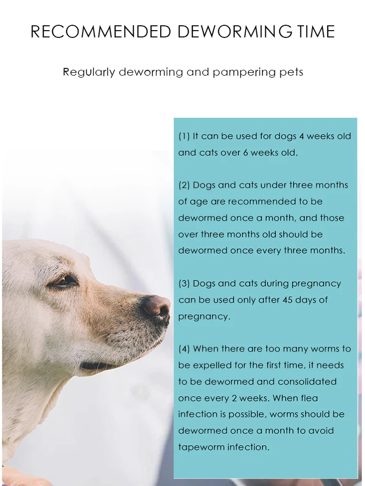 Обезвоживание домашних животных Медицина для кошек и собак в vivo Deworming медицина
