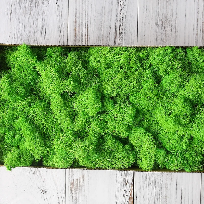 Natural Moss Eternal Moss for Home Garden Wall Decoration