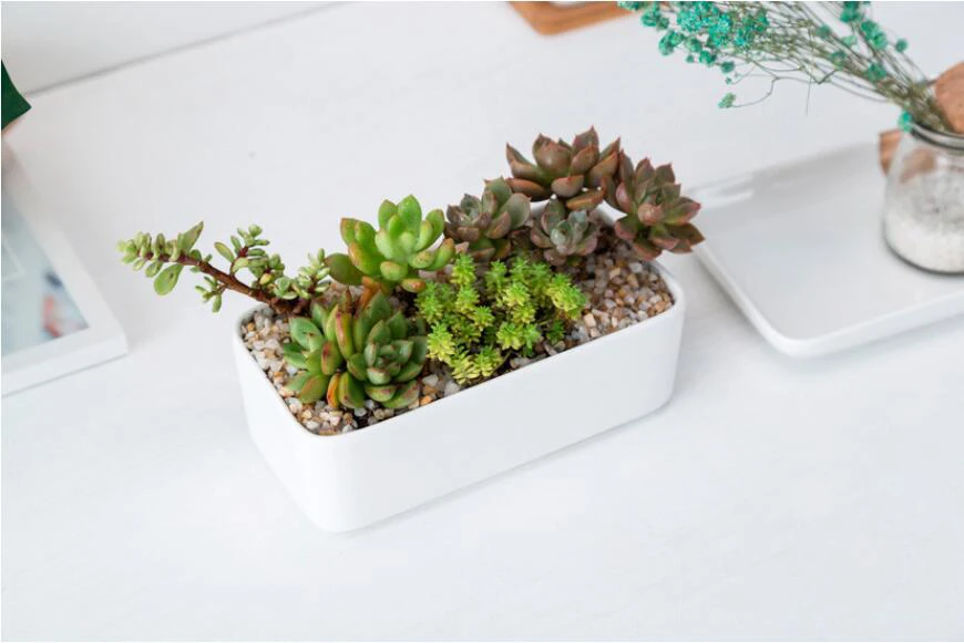 QQ截图20190814103438