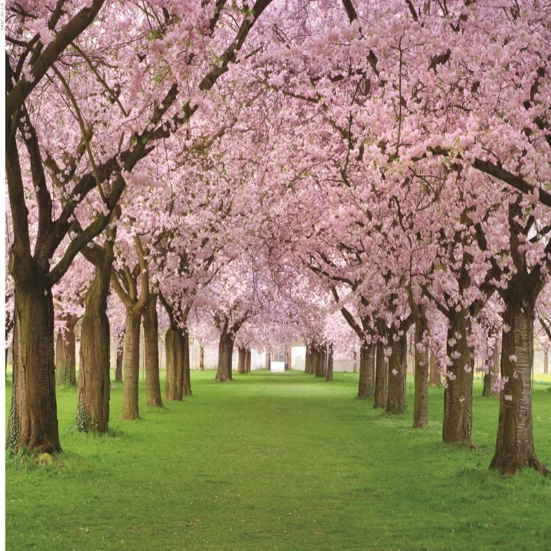 

WHISM Nature Photography Background Cloth Photo Cloth 3*5 Feet Lifelike Furniture Decoration Painting