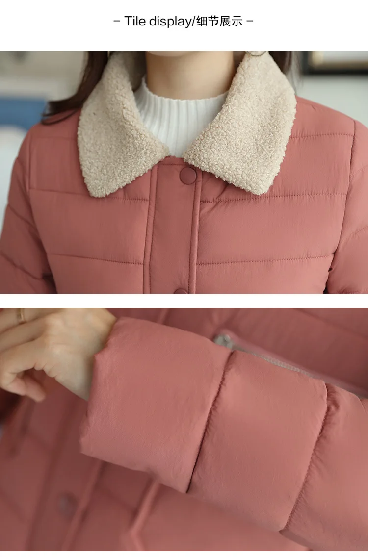 Cotton2_06.jpg