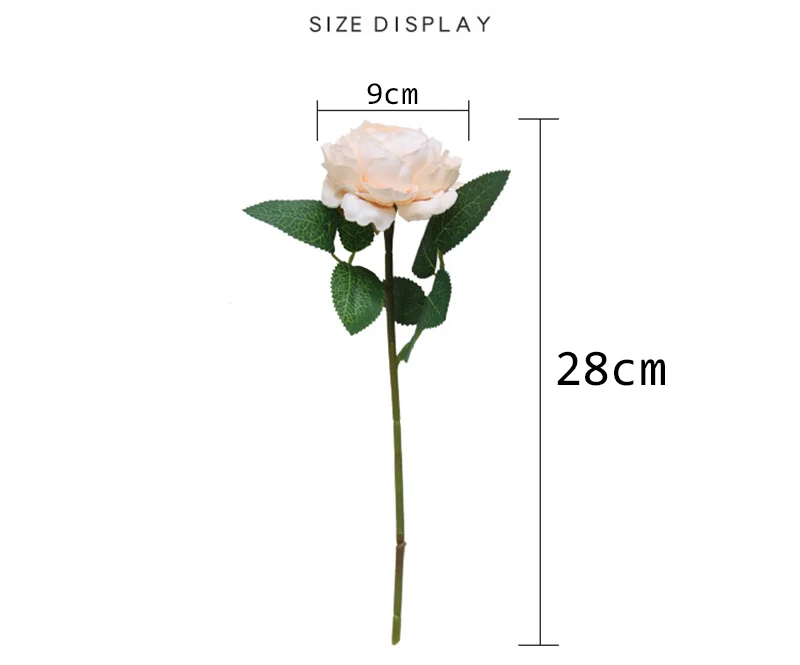 8875990350_1245478559