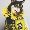 Dog Clothes Raincoat For Small Big Dogs Wind Coat Windbreaker French Bulldog Hoodie For Dogs Clothes Jacket Chihuahua Dog Face 3