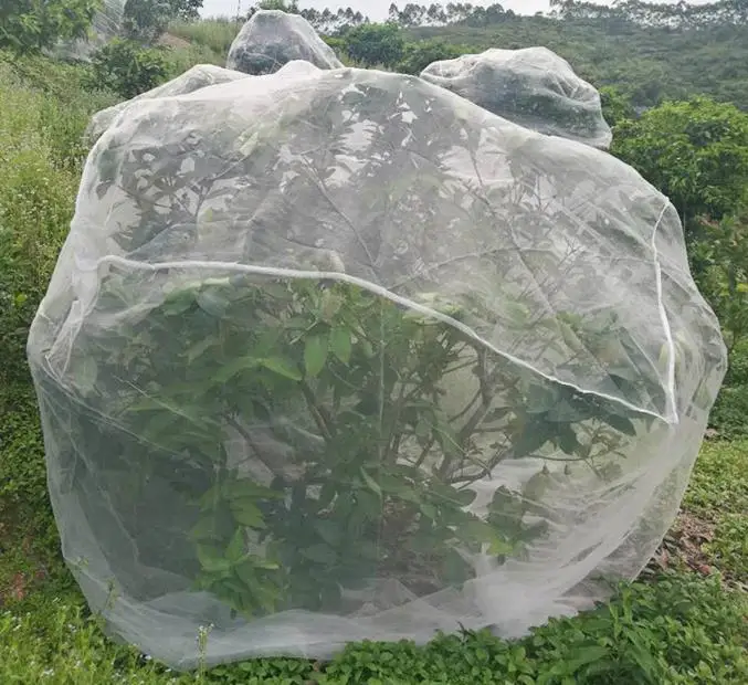 pestes, árvores frutíferas e flores, jardinagem