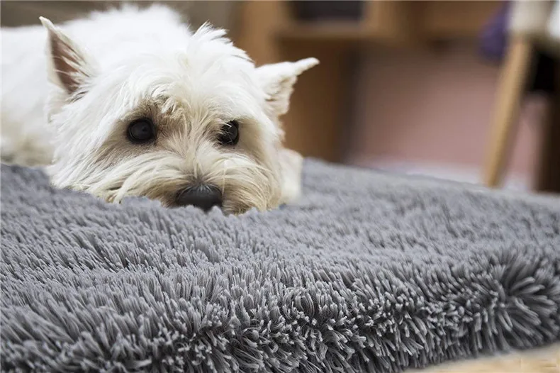 71lV9RVplLL._AC_SL1500_