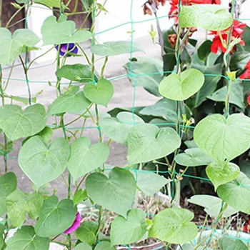 

HOT Garden Net Climbing Plant Plastic Support Mesh Clematis Pea Bean Trellis NDS