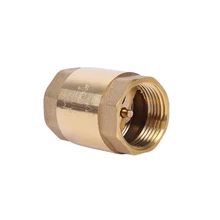Латунный в линии пружинный обратный клапан резьба односторонний обратный клапан для жидкого газа DIN889
