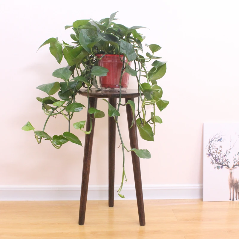 

Simplicity Monolayer A Living Room Chlorophytum Landing Type Northern Europe Wind Small Edge Several Flowerpot Shelf