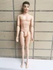 1 set of 30cm 14 Moveable Jointed Nude Naked Dolls Doll Body gift Shoe for Ken Boy Male ► Photo 2/6