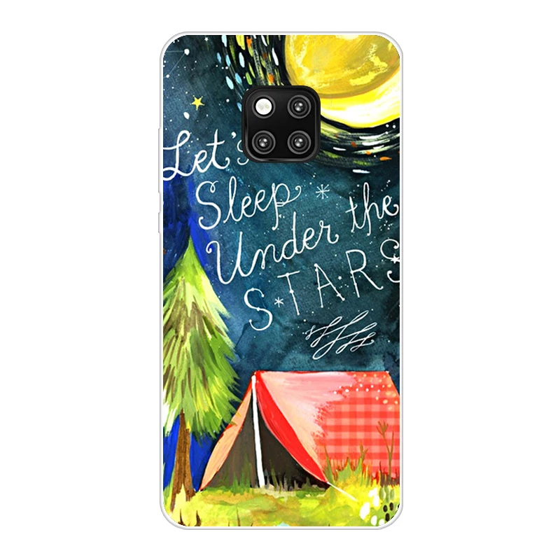 Силиконовый чехол для huawei mate 20 pro, мягкий чехол для huawei mate 20 X Coque Capa для mate 20 full 360, защитный чехол - Цвет: Коричневый