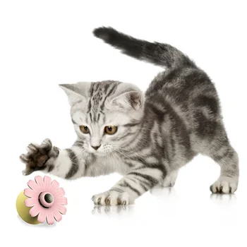

3 In 1 Cat Toys Multifunction Pet Cat Hair Self Grooming Comb Kitten Catnip Ball Chew Toy LED Glow Rotating Cat Interactive Toy