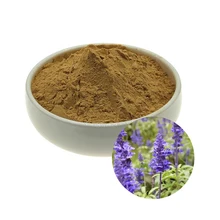 

50~1000g High Quality Pure Ajuga Turkestanica Extract Powder 20:1 Powder