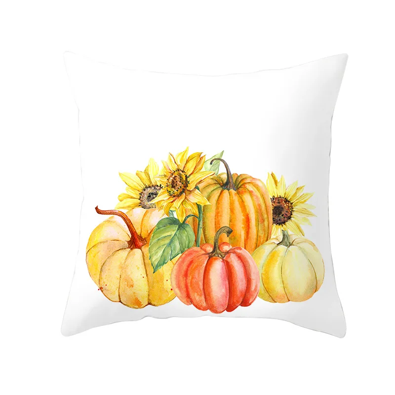 11264542034_1484136093