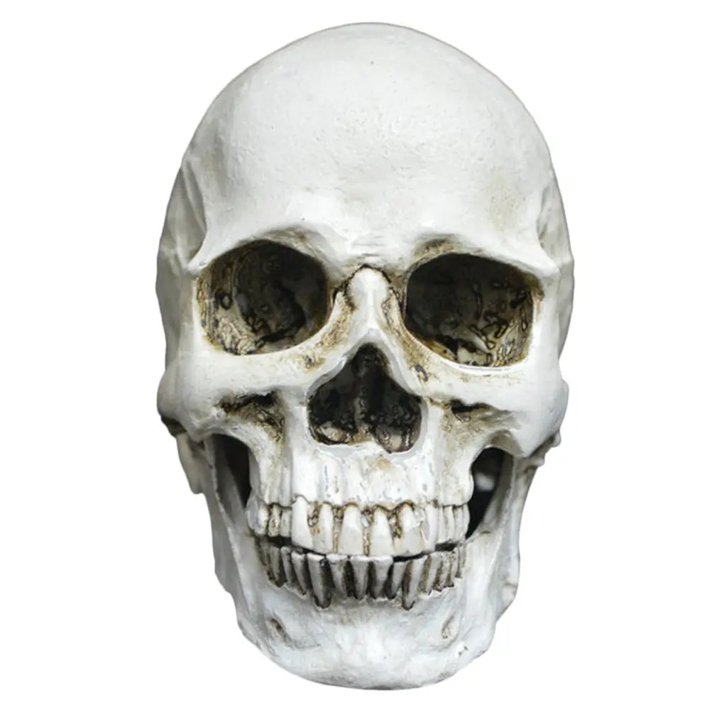 

Halloween Party Decoration Small Skeleton Pattern Creative Horrible Model Toy Scary Tricky Toy Home Office Decoration