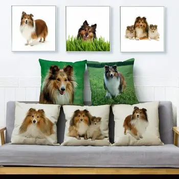 

Cute Dog Shetland Sheepdog Shelti Throw Pillow Cushion Cover Case Sofa Home