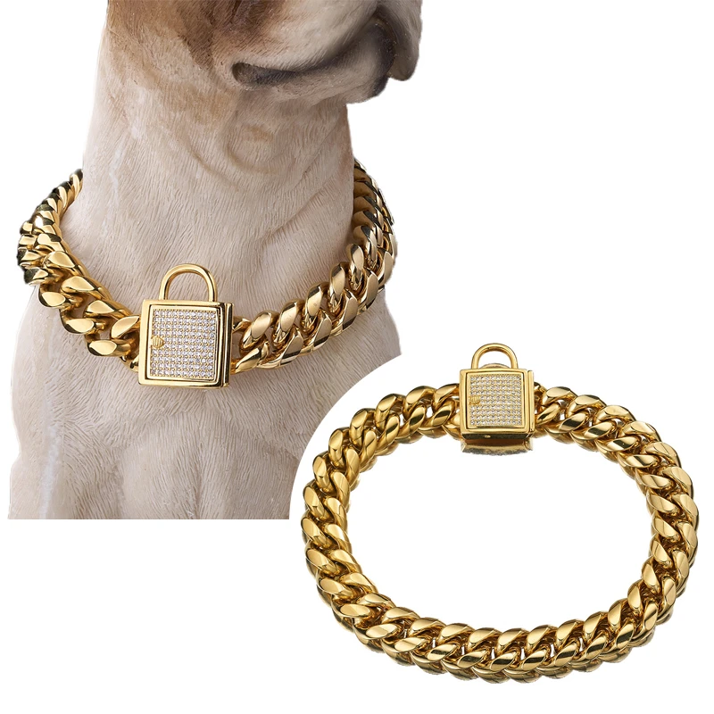 gold metal dog collar