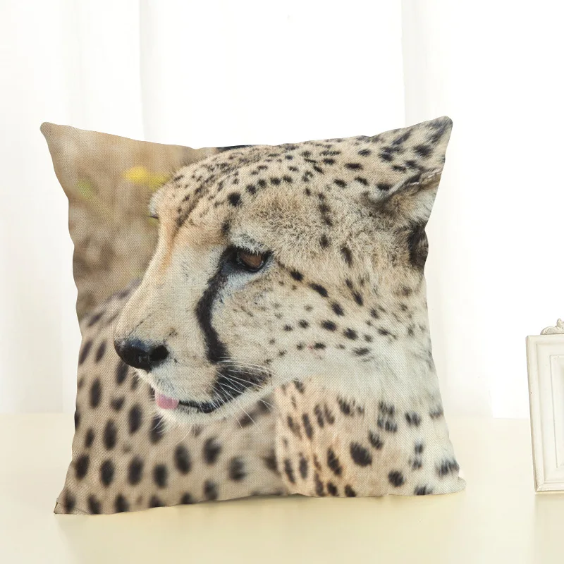 8803224024_1255064235