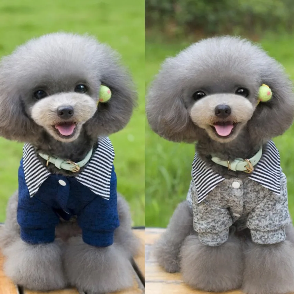 Корейский стиль, свитер пуговицы для домашних собак, флисовые куртки для щенков, Свитера на 2 ноги, шерстяная одежда для маленьких, средних и больших собак