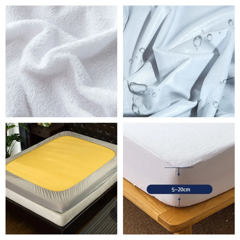 299772_no-logo_299772-3-05