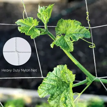 

Mesh 5/10m Polyester Net Loofah Netting For Morning Glory Vine Flowers Garden Plants Climbing Net Cucumber Vine Grow Holder