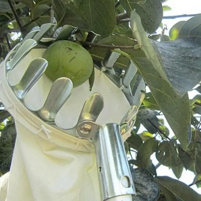 Fém Gyümölcsválasztó Orchard Kertészeti Alma Őszibarack Magas Fa Szedő Szerszám Gyümölcs Fogó Kollekció Tasak Farmkert Szerszámok - Image 2