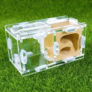 

Wholesale Ants Nest Gypsum&acrylic Ants House Home for Young Queens and Small Colonies Birthday Present