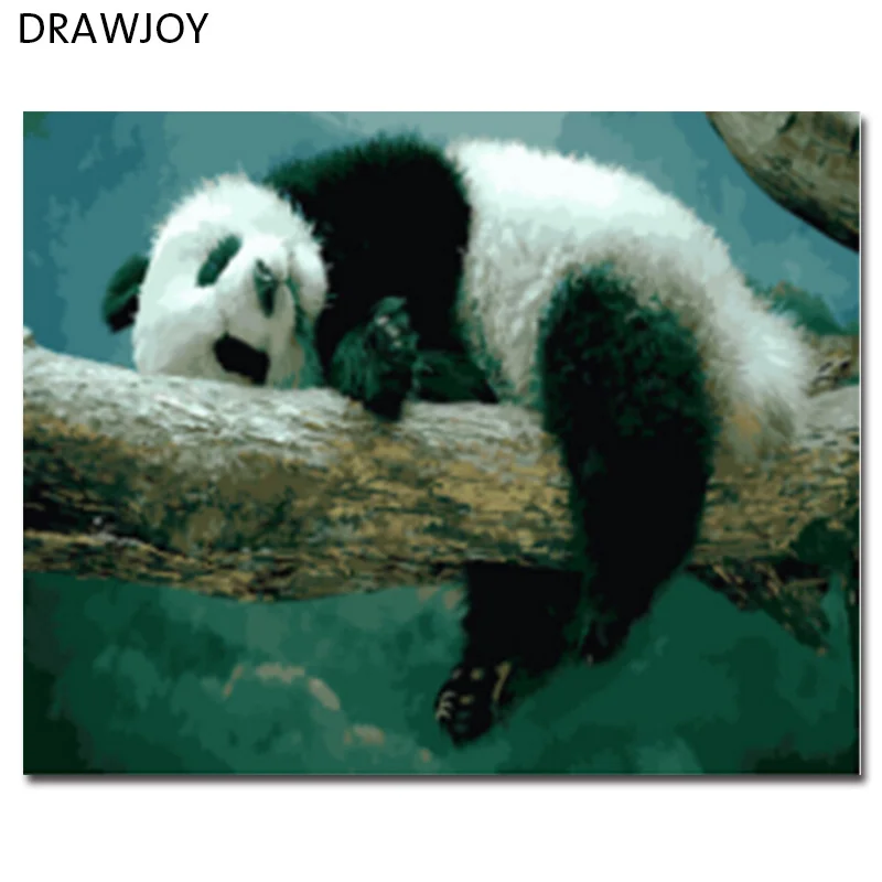 DRAWJOY картины в рамке живопись и каллиграфия DIY по номерам панды картина маслом