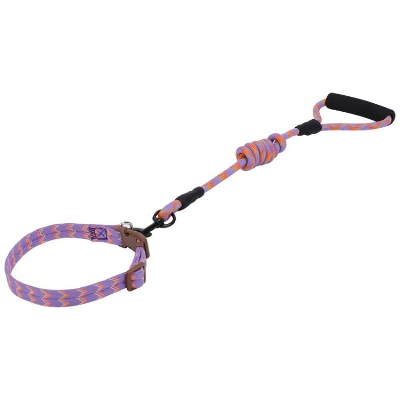 collar Собачий кошачий ошейник для собаки, собачий поводок, поводок, набор поводков для маленьких собак, уличные спортивные ремни и поводок, нейлоновые товары для домашних животных - Цвет: collar