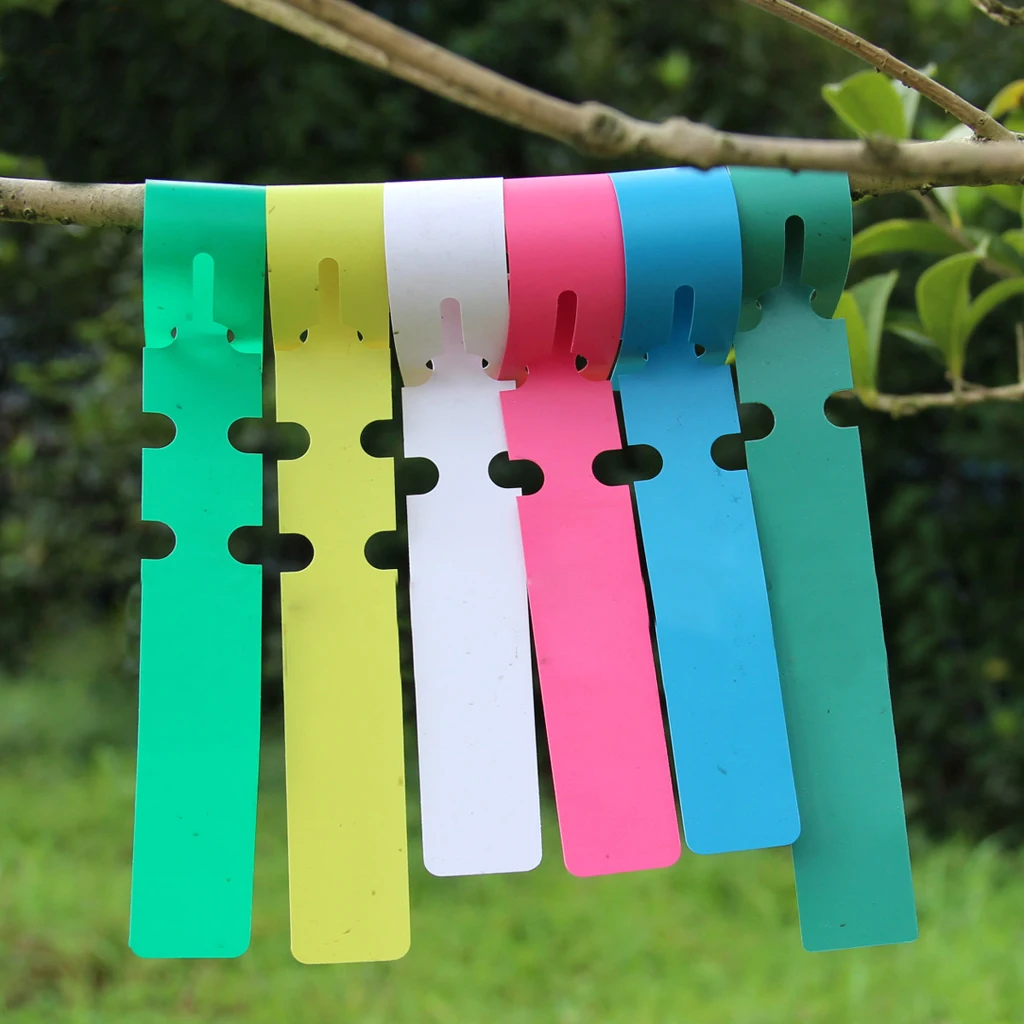 100pcs Wrap Around Plastic Plant Labels Tree Twigs Tags 5 Colors