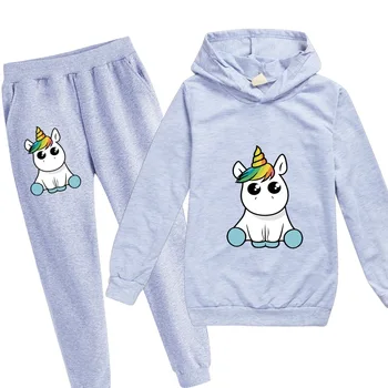 

Kids Clothing Unicorn Long Sleeve Boys Clothes Girls 2 Piece Children Clothes Unicorn Hoodie for Girls Boys Sweatshirt Summer