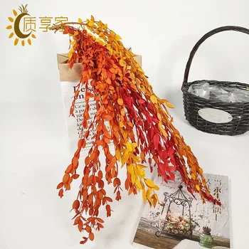 

Factory Wholesale Eternal you calli ye Ins Dried Nordic Bouquet Shooting Props Living Room Decoration