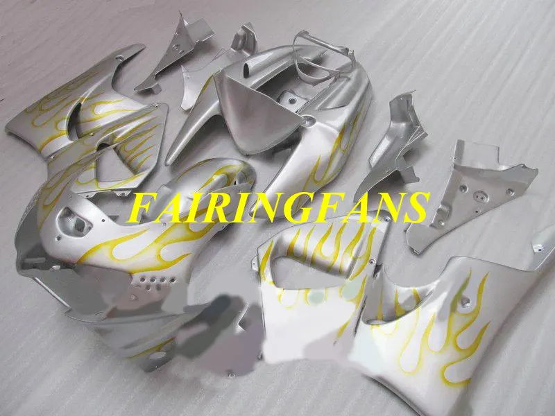 Fairing kit for HONDA CBR900RR 919 98 99 CBR 900 RR CBR 900RR CBR900 1998 1999 Flames silver Fairings bodywork+gifts HR21