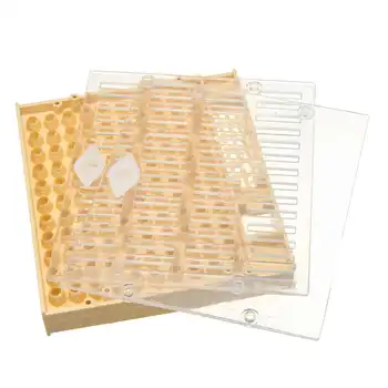 

Beekeeping Tools Set Queen Rearing System Cultivating Box 110 Cell Cups Bee Nicot Complete Catcher Cage Beekeeping Equipmen
