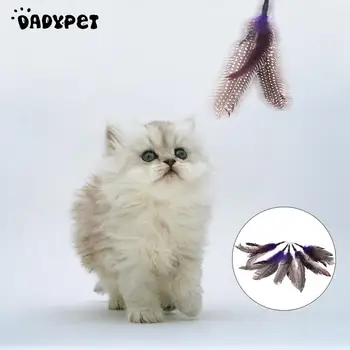

Luxury Extendable Pet Kitten Cat Feather Teaser Wand Rod + 7PCS Colorful Natural Long Feather Cat Teaser Toy Set