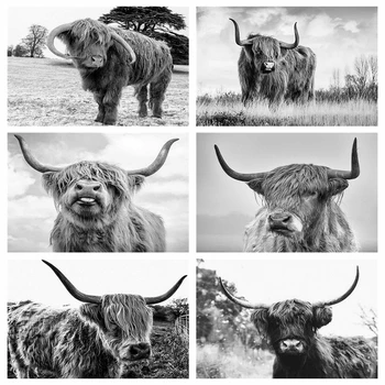 

HUACAN Diamond Painting Cow Full Square Diamond Embroidery Mosaic Sale Animal Black And White Home Decor