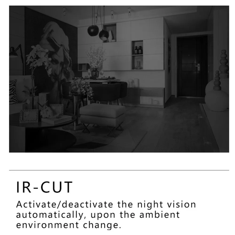 303245_no-logo_303245-3-01-c