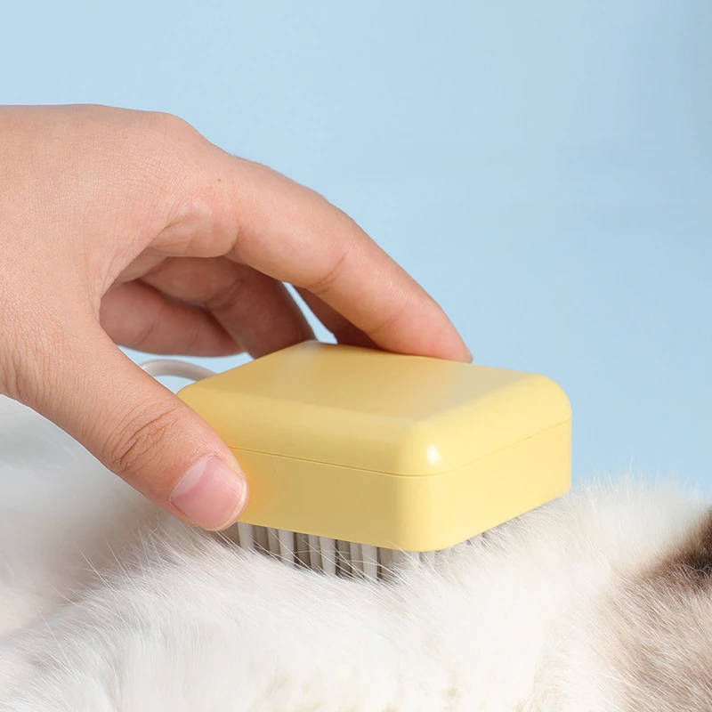 Nail Brush Soap Dish