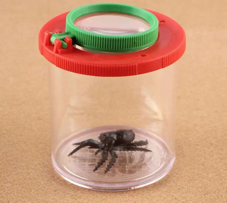 Коробка с жуком Увеличьте для наблюдения за насекомыми коробка 2 объектива 4x увеличение Лупа детские игрушки Энтомологи Бесплатная