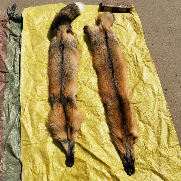 fox Skin07