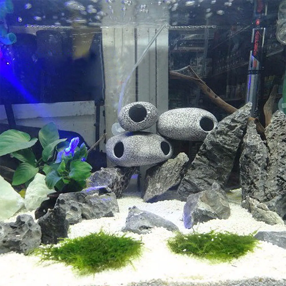 cichlid tank decorations
