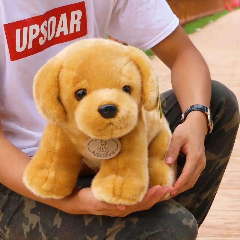 9123672988_915828808