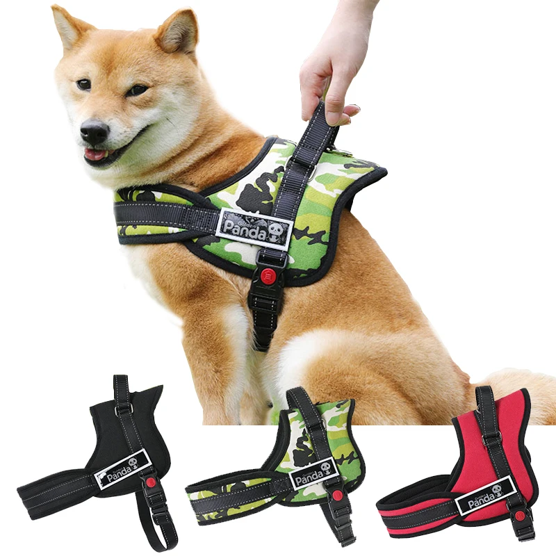 

Petshy Adjustable Collar for Dogs Leash Harness Webbing for Dogs Training Collar Pet Leash Traction Rope Belt Dog Accessories