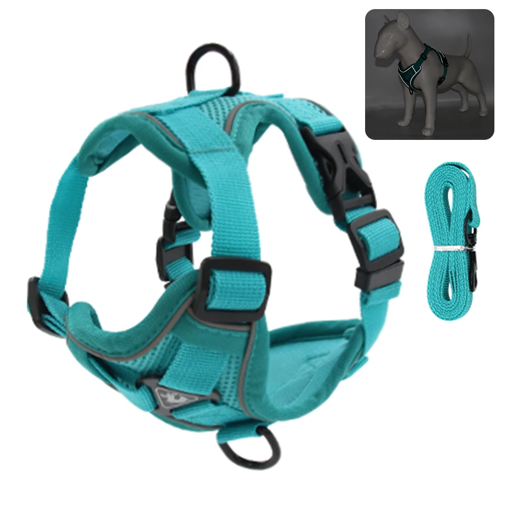 Harnais pour chien, gilet d'entraînement pour Chihuahua, chiot, harnais en  maille douce pour chiens, chats, collier pour chiot, chat, sangle de  poitrine pour chien - AliExpress