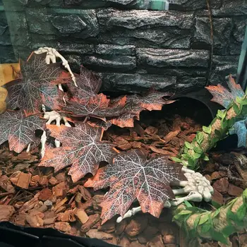 

12Pcs Terrarium Reptile Dead Leaves Reptile Pet Decoration Supplies Reptiles Terrarium Jungle Tree Leaves Decor Accessories