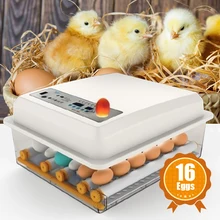 Incubadora de huevos de 220V, incubadora de codornices para aves de corral, herramientas de incubación automática